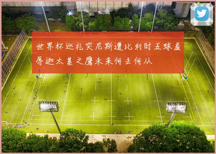 世界杯巡礼突尼斯遭比利时五球羞辱迦太基之鹰未来何去何从